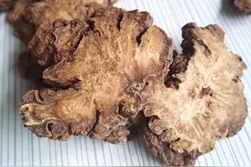 舌苔又白又湿，气血亏空，从头虚到了脚，不能补阳补肾，先化瘀图片