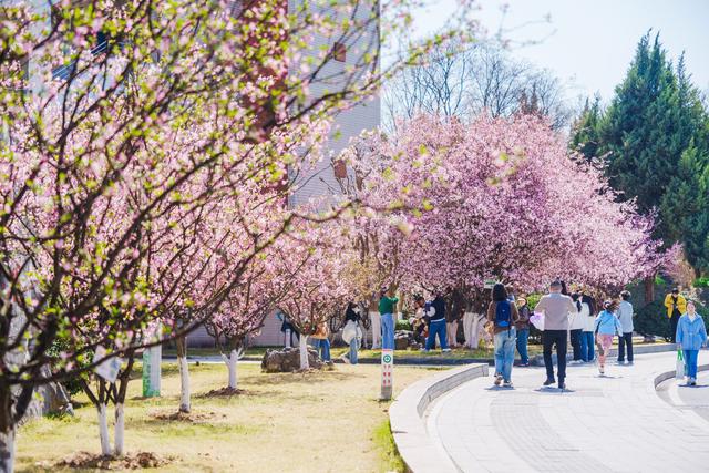 7300公里之外，我国有一座大岛，中国国籍可永久居住，你想去吗_