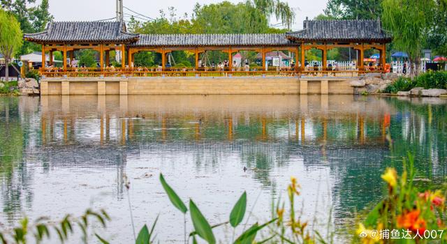 免费开放！初秋济南这个湿地公园景美泉清，超适合遛娃！
