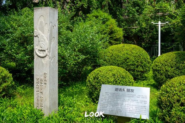 藏在二环内的小众公园 · 很多人都没来过