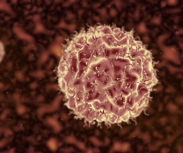 央视披露：致癌物超标27倍，可改变DNA，警示：这种衣服别再买了