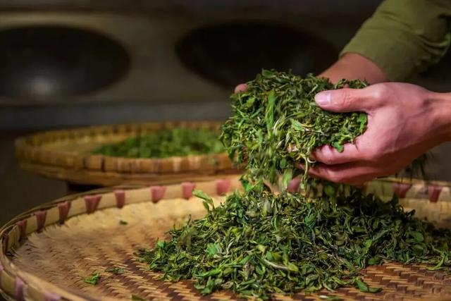 山色、水色，春日都江堰处处是绝色！