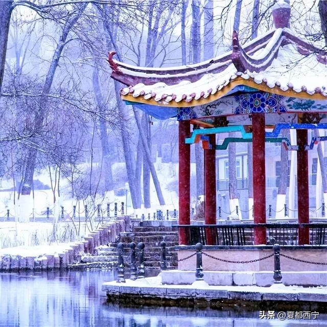 西宁的冬春，藏不住了！