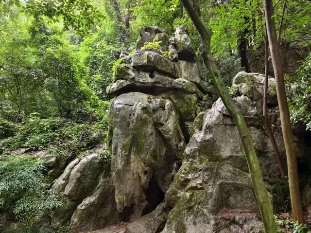 39℃的杭州去哪儿逛？夏日清凉徒步推荐！还有重播超3000次电视剧取景地→