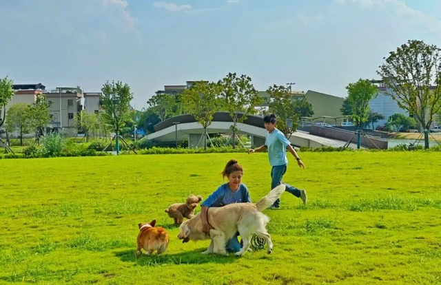 精致躺“坪”，在顺德邂逅“顶级松弛感”
