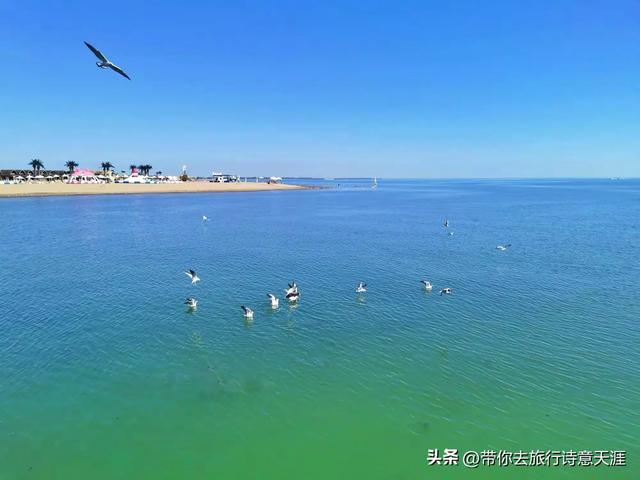 新疆博斯腾湖的大河口风光