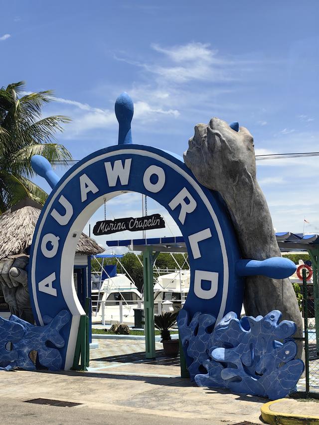 古巴——我的境外旅游第十站（第二篇）