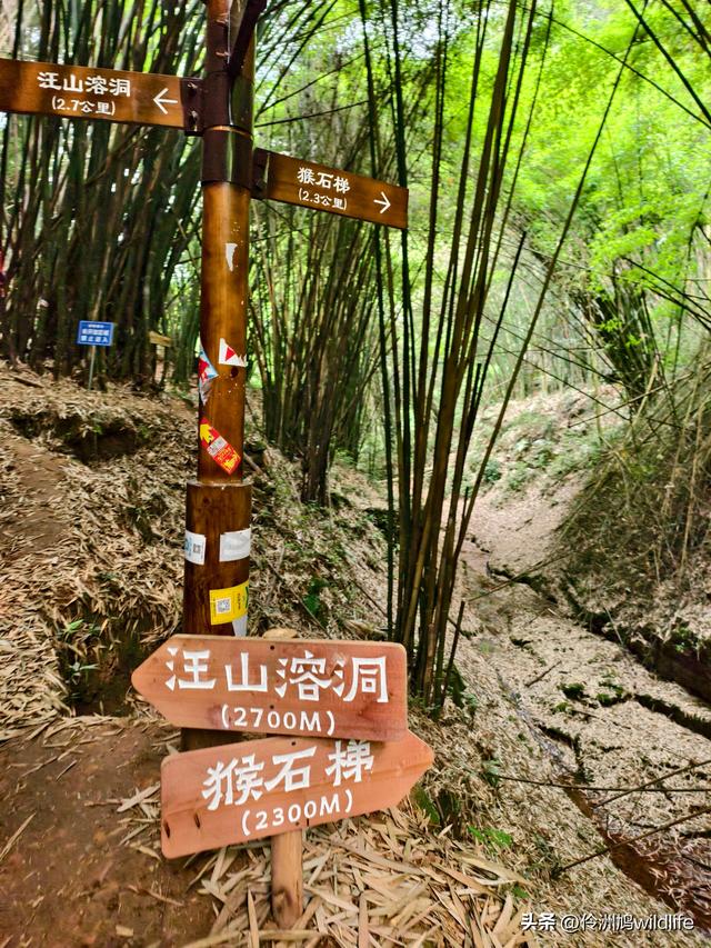 成都徒步（66）·邛崃篇⑥皮缝峡谷·皮缝古道