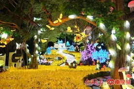 新网红打卡地“南宁夜花园”限时免票！面向这些人→图片