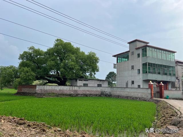 抚州临川王安石故里