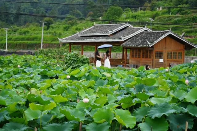 乡游黔中 · 榕江县 乐乡村丨古榕河滩枕夏梦,侗歌唤醒寨蒿河