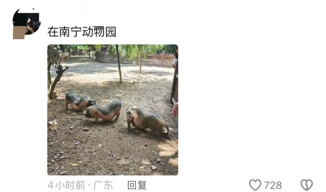 笑麻了！国庆的动物们都吃出工伤了！一看评论区动物们都EMO 了