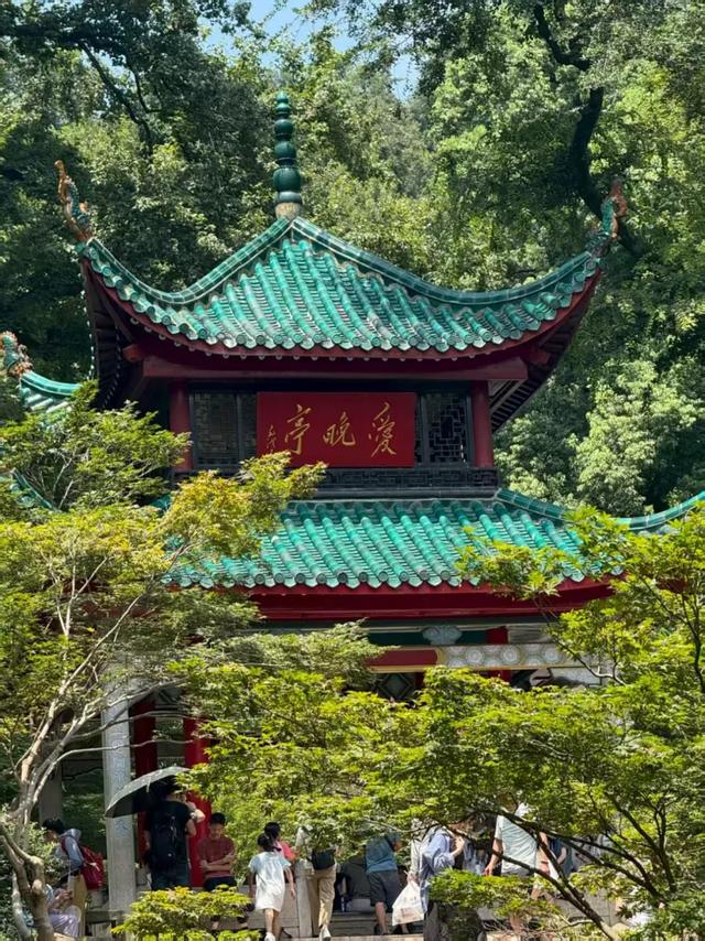 粤港澳媒体长沙行:沉浸式感受“快乐长沙”悠长文脉与火热烟火气