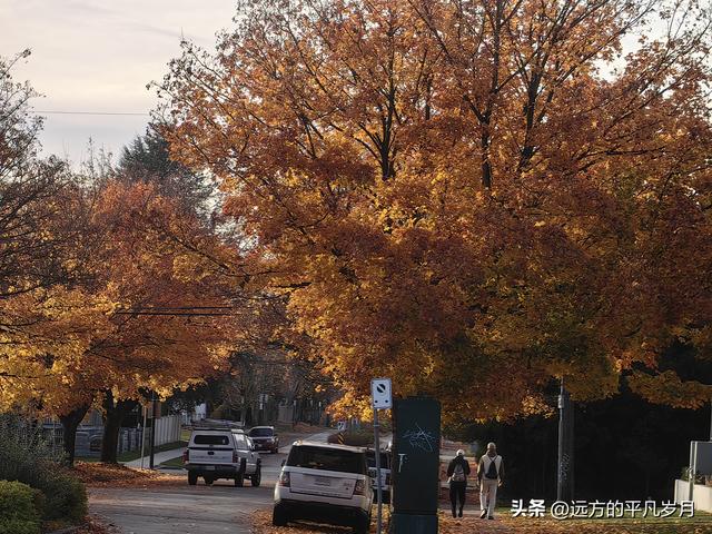 温哥华游记（六）