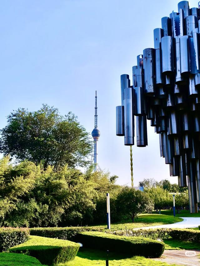 临沂市区赏秋地图出炉！红枫、银杏、落叶道…承包你的秋日朋友圈