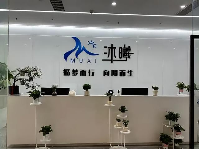 最好的时代！国产AI芯片龙头，披露现状！