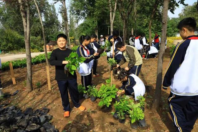 潍城露营热：解锁文旅新玩法，周末约起~