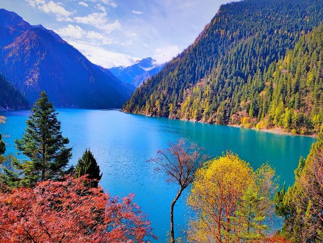 别等老了，再行动