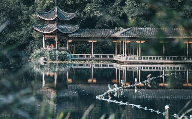 寻幽浴鹄湾：藏在西湖西南角的静谧桃源，本地人才懂的隐世之美