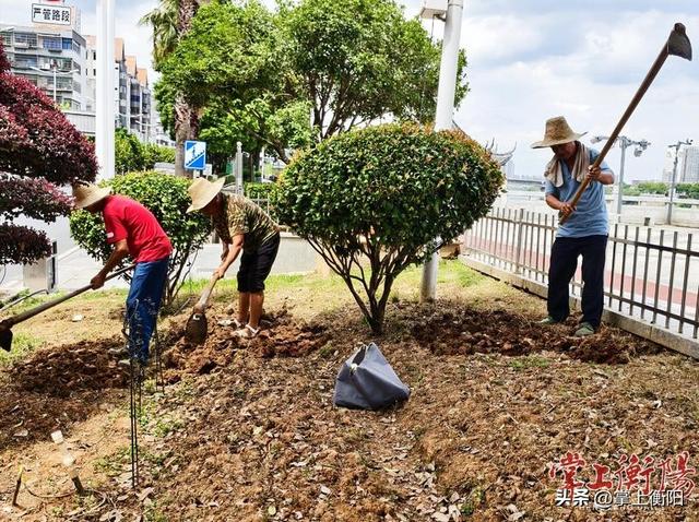 喜迎国庆中秋，沿江风光带换“秋装”
