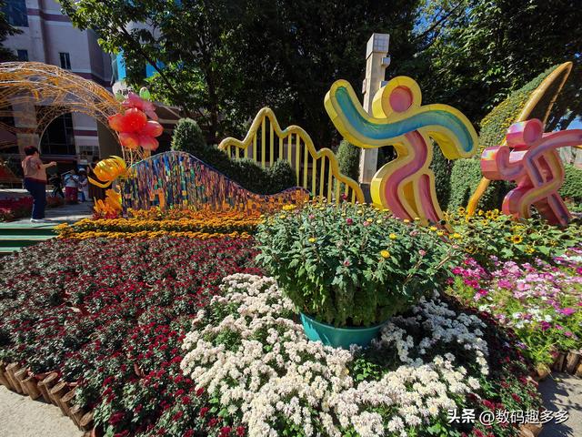 广州66届羊城菊花展，快来看打卡攻略