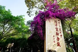 首届毕业生直通“四七九”，是种什么样的体验？图片