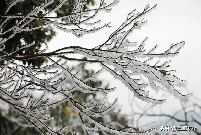 寒潮“炫技”成功！三江这地方浪漫值拉满