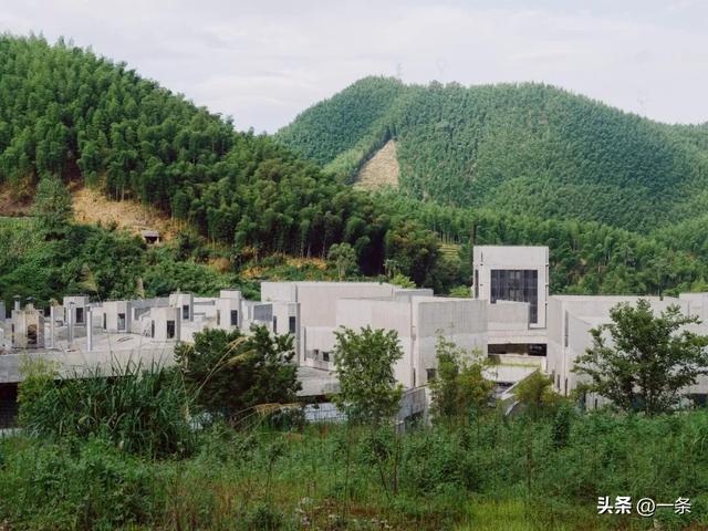 中国95后，爱上逛墓园