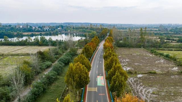 安陆这条公路竟然会“唱歌”