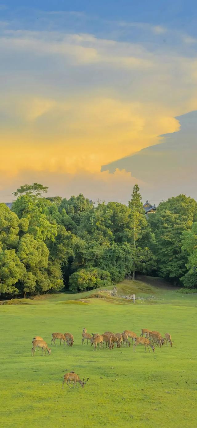 风景壁纸来报到