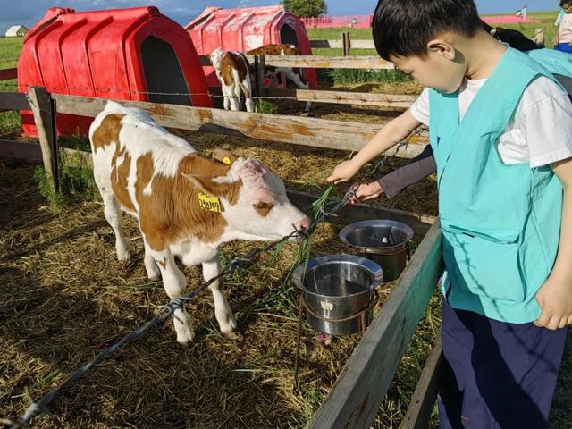 “奇妙自然，京蒙少年草原行”呼伦贝尔生态与民族文化研学活动圆满闭营