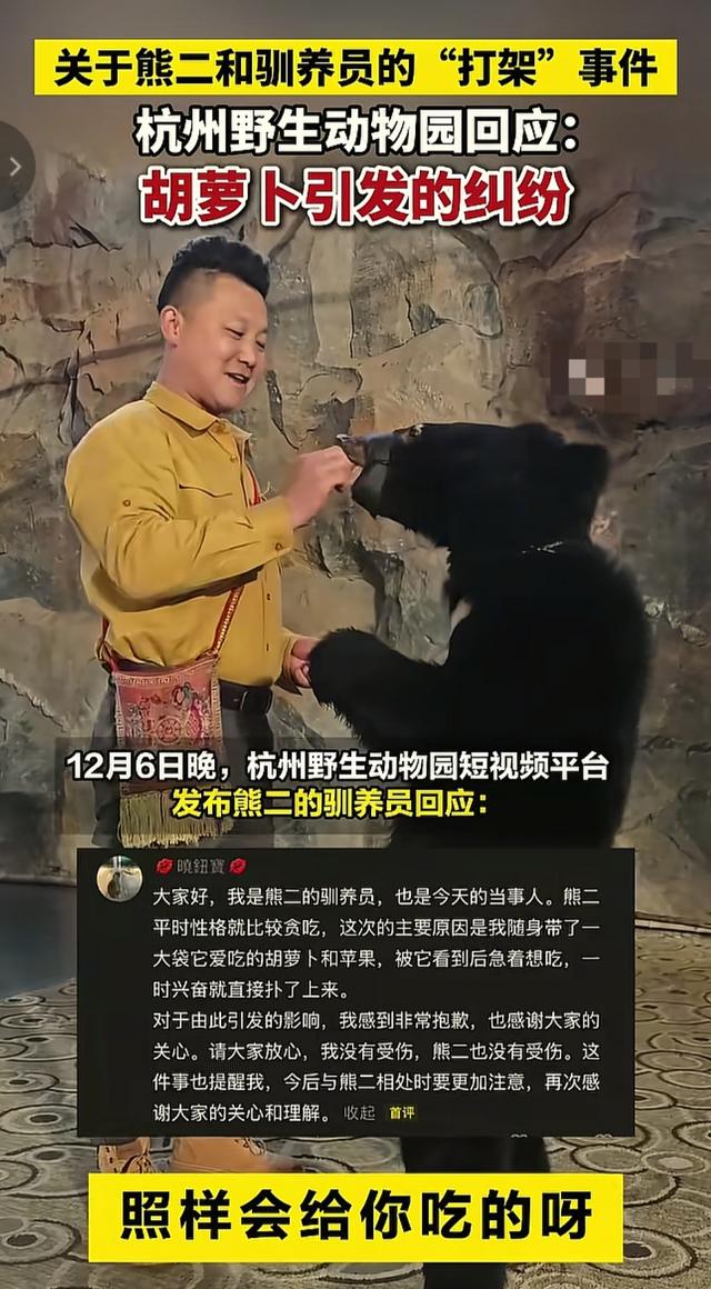 后续！动物园熊和饲养员打架，熊还会绊腿，动物园回应，原因曝光
