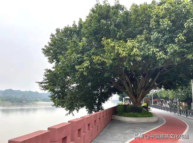乐山乐水，顺风顺水