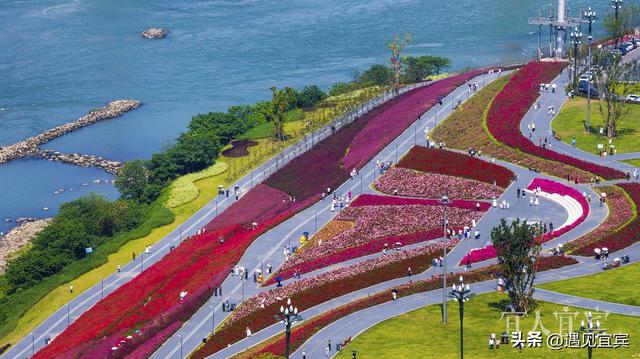 宜宾再度出圈：长江首城藏着的浪漫基因