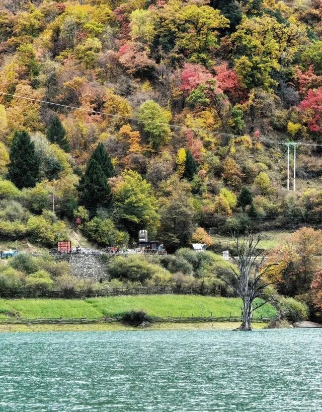【美丽四川】平武天母湖，邂逅一场彩林与碧水的秋日盛宴‖柳红樱