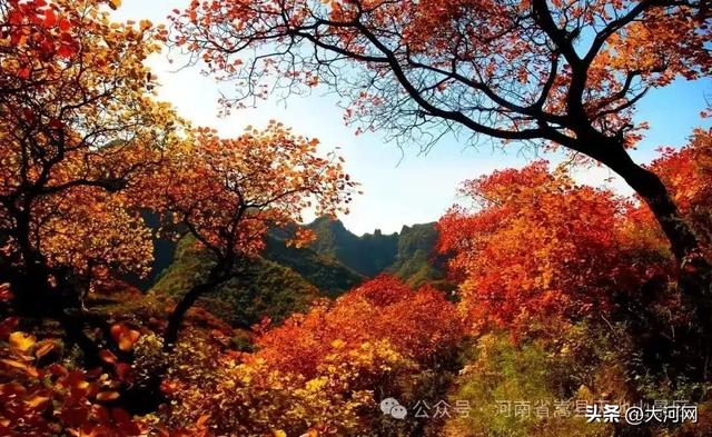 闭园!河南多个景区发布公告