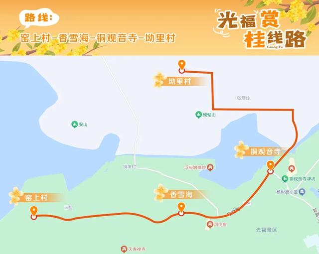 香！吴中今年“第一桂”开了