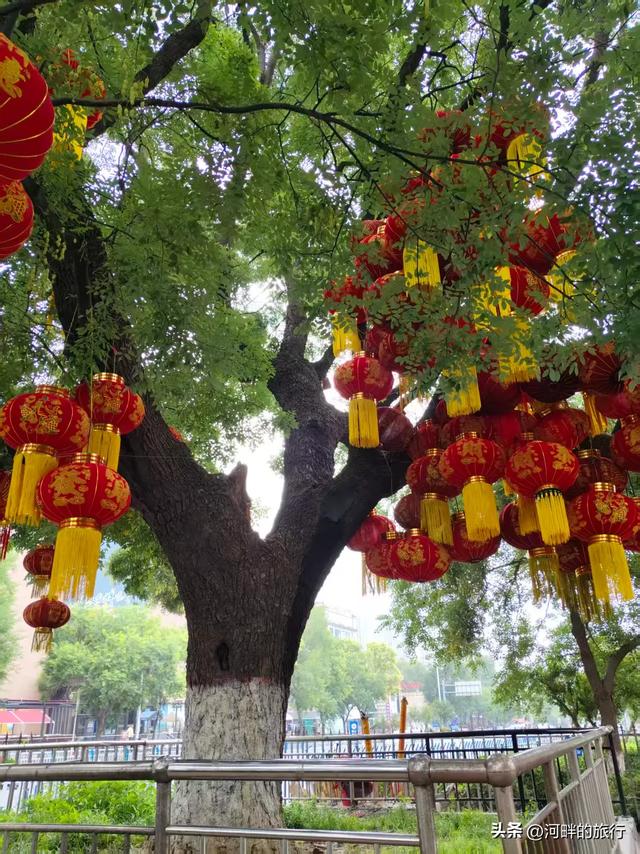 新乡市城里十字大槐树