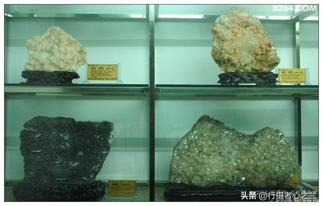 山东行游影记（31）—平邑天宇自然博物馆（六）