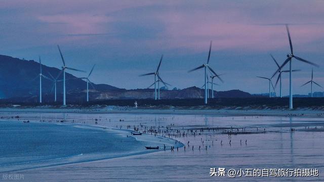 平潭 2 天 1 夜实测攻略！蓝眼泪 + 风车田 + 海岛秘境，避坑 + 出片全说透