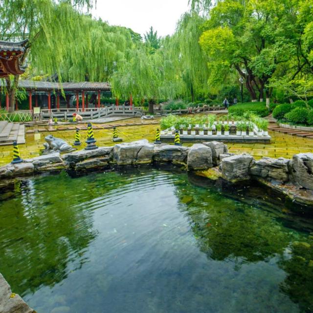 月牙泉“醒”了！济南泉水迎来最佳观赏期！