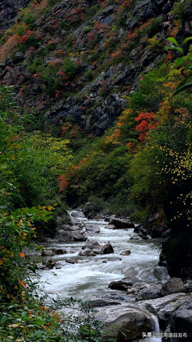 红叶遍山野，秋韵满望关