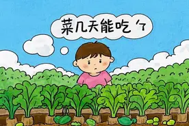 菜打农药后到底几天能吃？记住这3招，安全去残留！图片