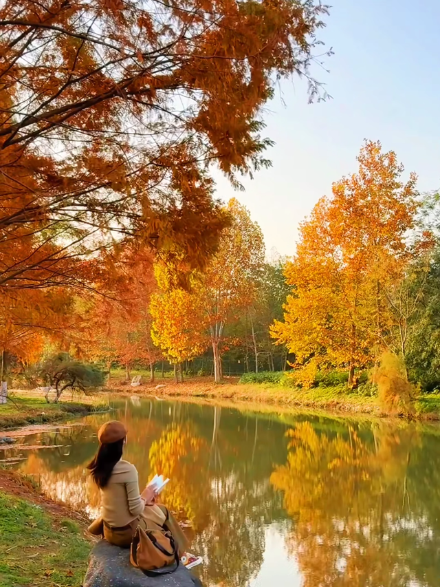 西安城区4个绝美秋景打卡地！