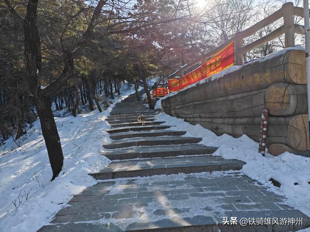 春节快到了，本溪动植物园开始在大门口塑冰雕了