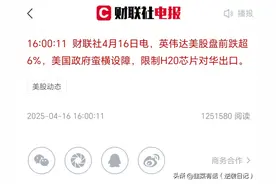 英伟达H20（国产替代）图片