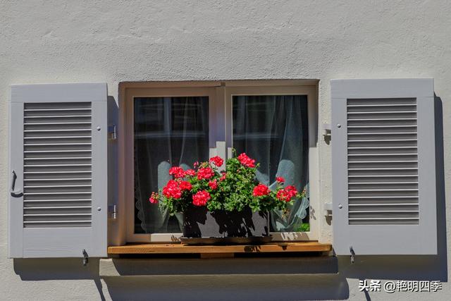 欧游杂记（4）‖ 从因特拉肯到卢塞恩，最大的惊喜是途中的龙疆