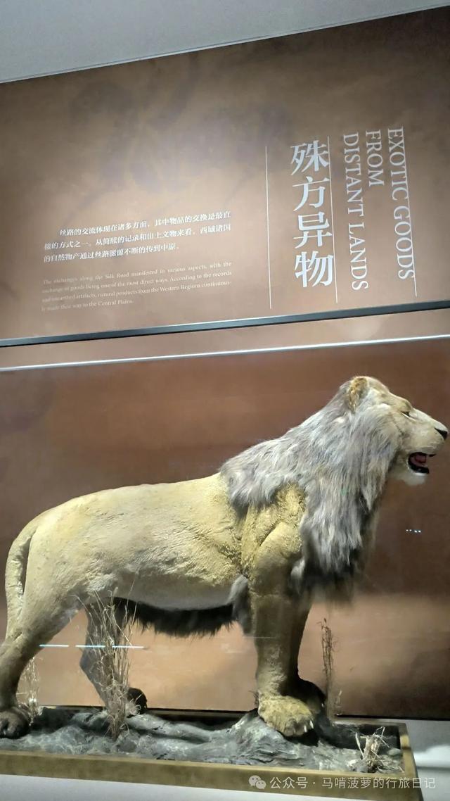 新晋顶流！文旅黑马！古人的朋友圈，有亿点点震撼！