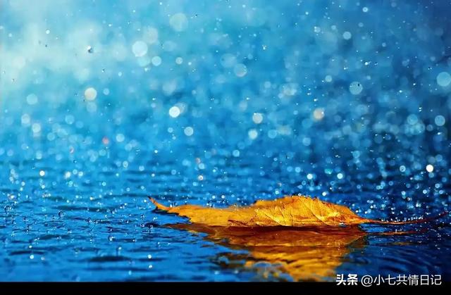 让你瞬间释怀的走心文案，建议永久收藏。