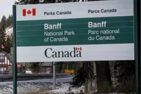 多人丧命!著名景区出事!加拿大航空重要条例实施!中加机票再飙?图片